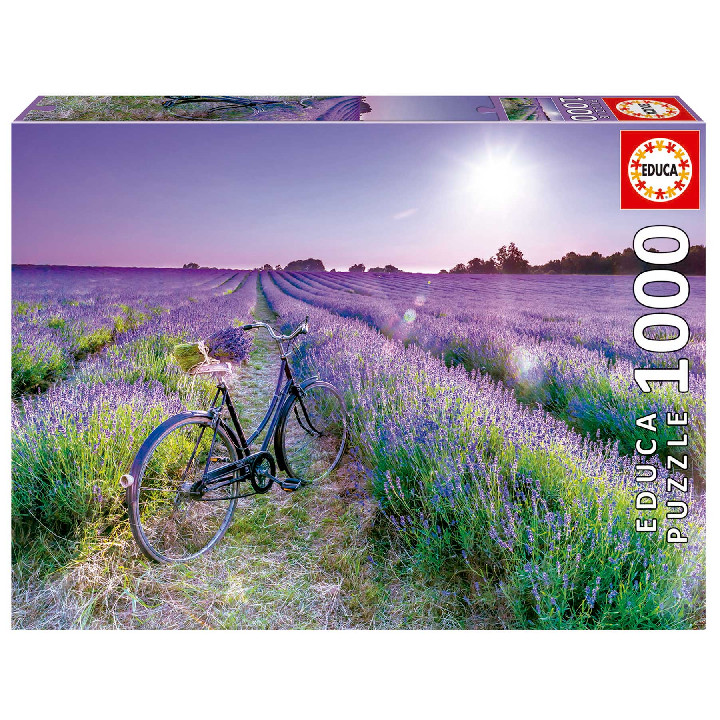 Bicicleta en el campo de lavanda ( Ref:  19255 )