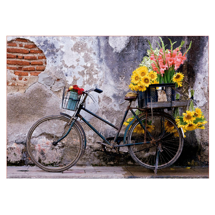 Bicicleta con flores