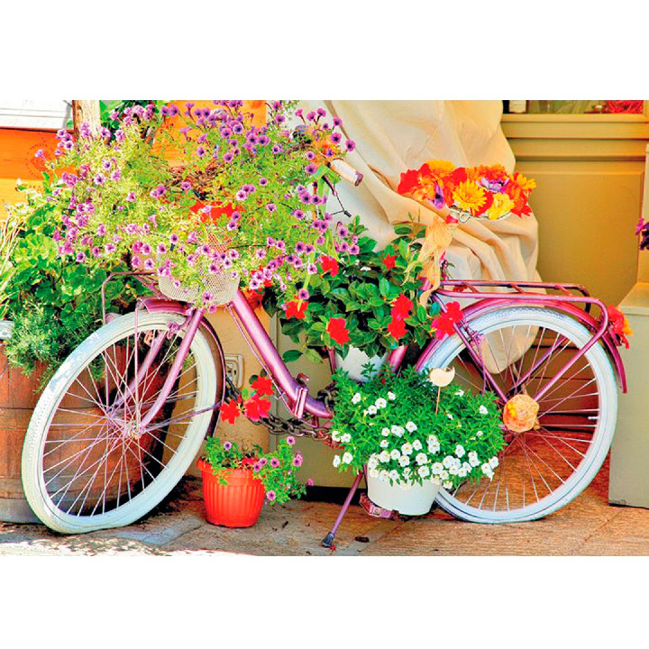 Bicicleta con flores