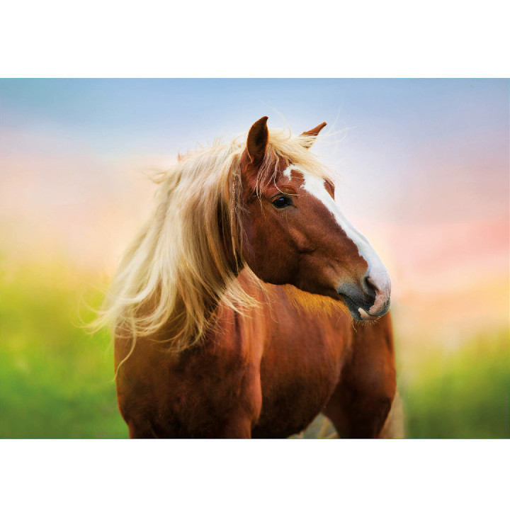 Caballo en el atardecer*