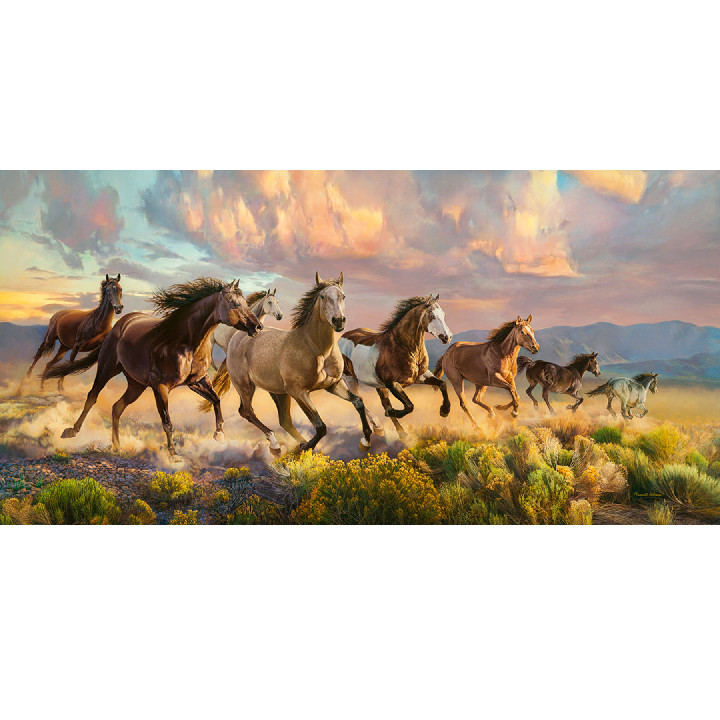 Caballos cabalgando