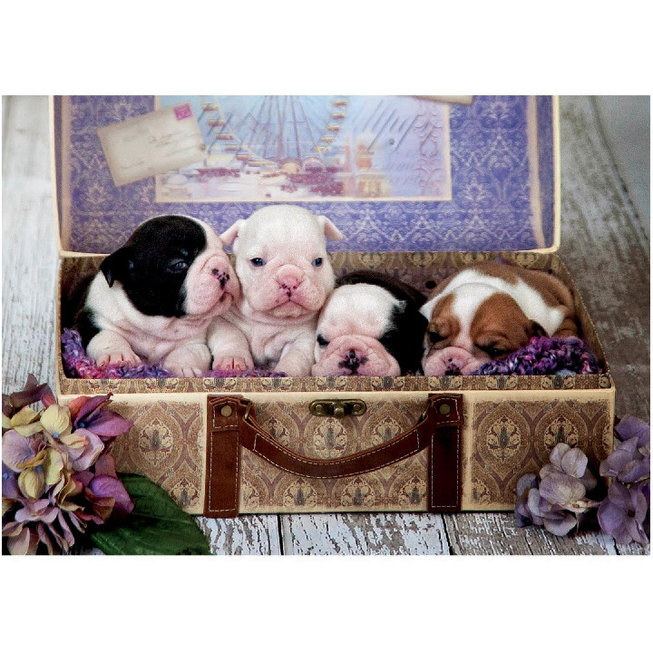 Cachorros*