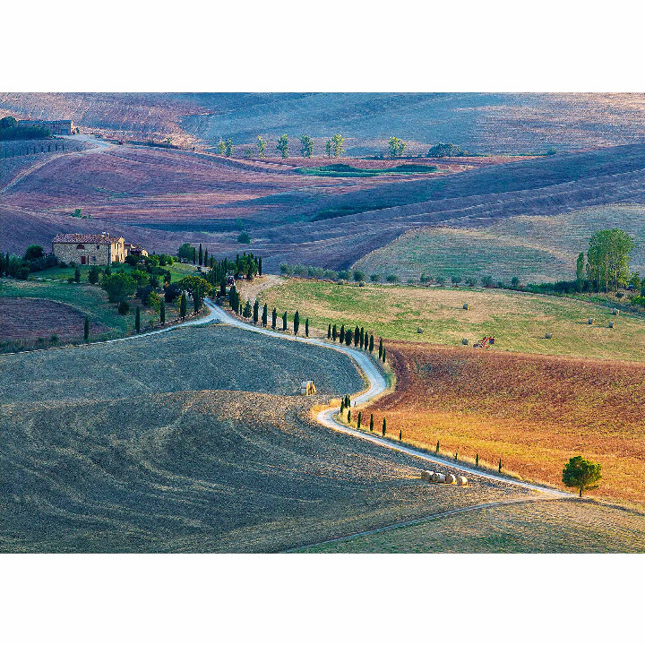 Campos labrados Pienza Siena