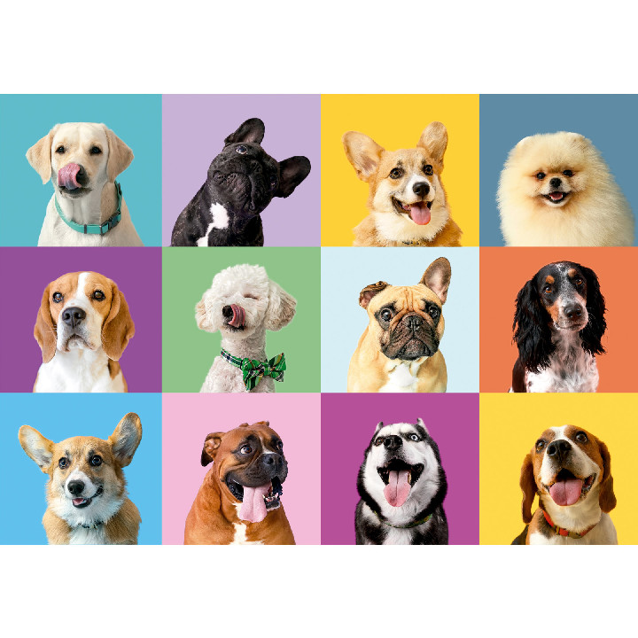 Caras perros