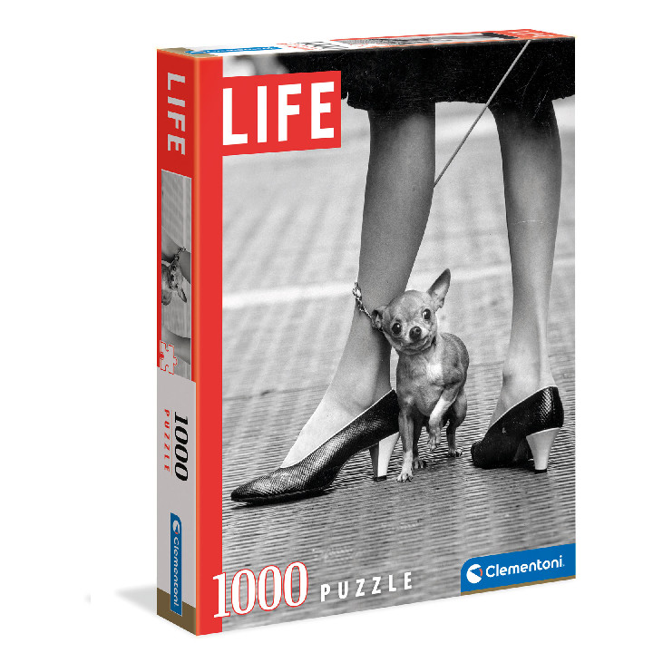 Life Chihuahua ( Ref:  39634 )