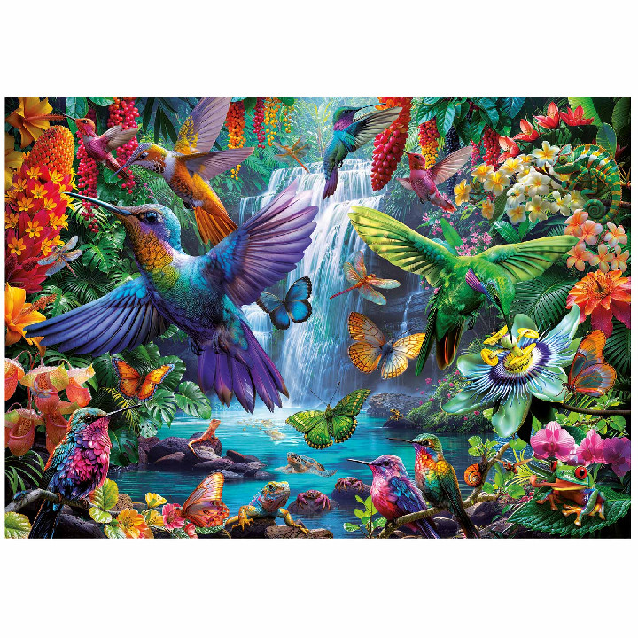 Colibries tropicales