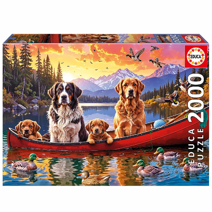 Domingo con los niños ( Ref:  20576 )