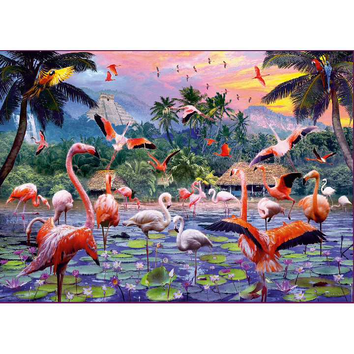 Familia de flamencos ( Ref:  12000574 )