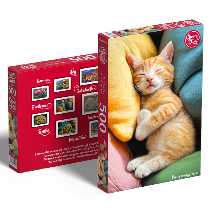 Gatito dormido ( Ref:  1620456 )