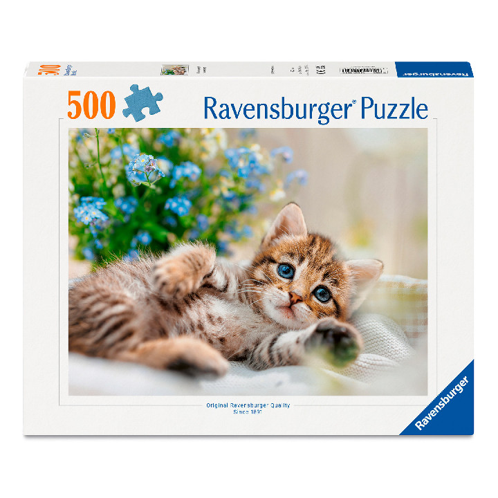 Gatito dulce ( Ref:  12001904 )