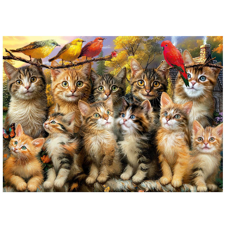 Gatitos y pajaros
