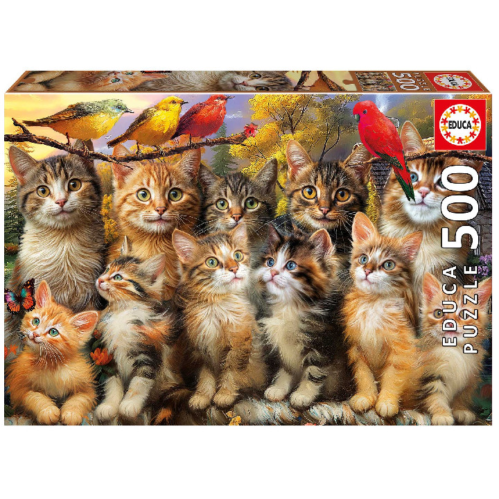 Gatitos y pajaros ( Ref:  20241 )