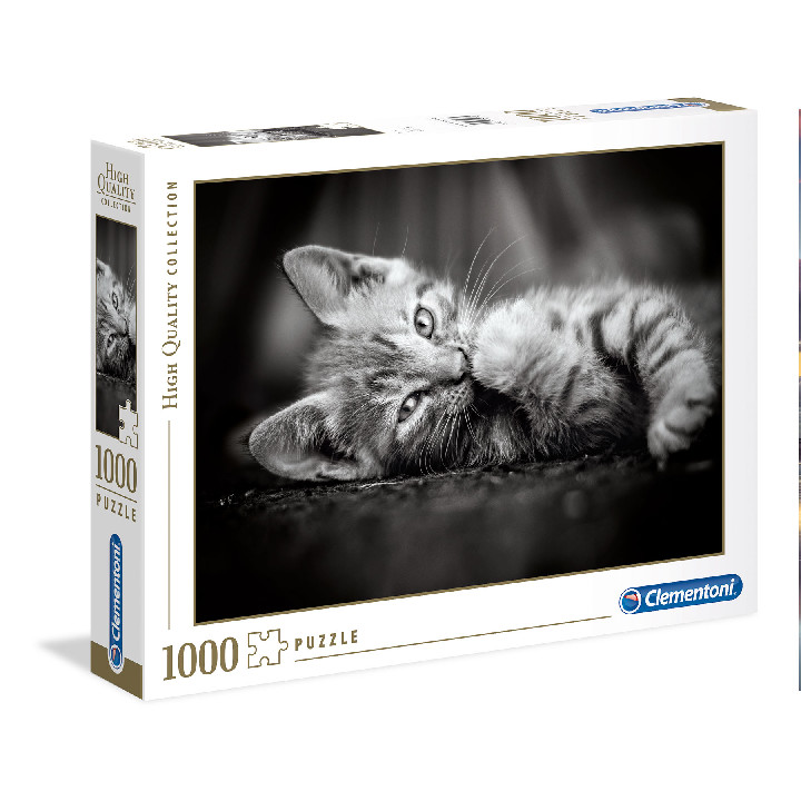 Kitty ( Ref:  39950 )