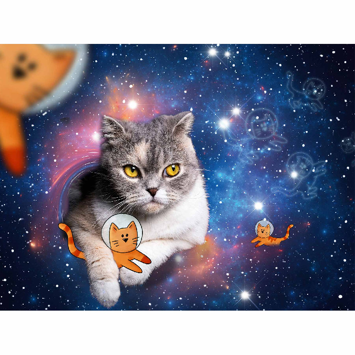 Gato en el espacio*