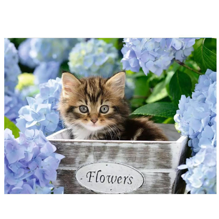 Gatito