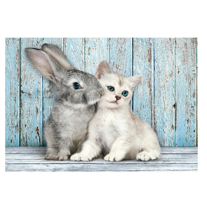 gato y conejo