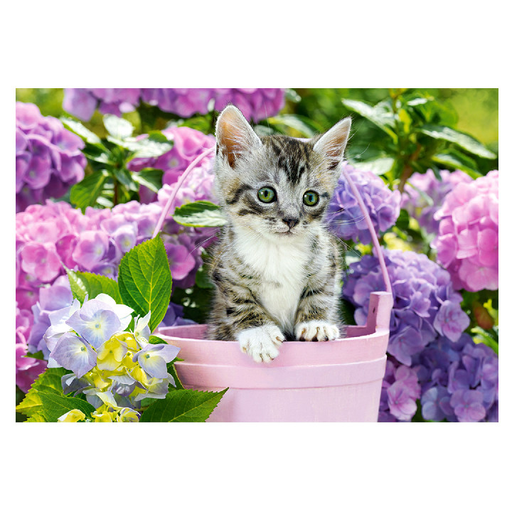 Gato con flores
