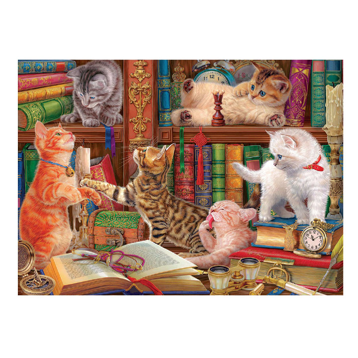 Gatos de biblioteca