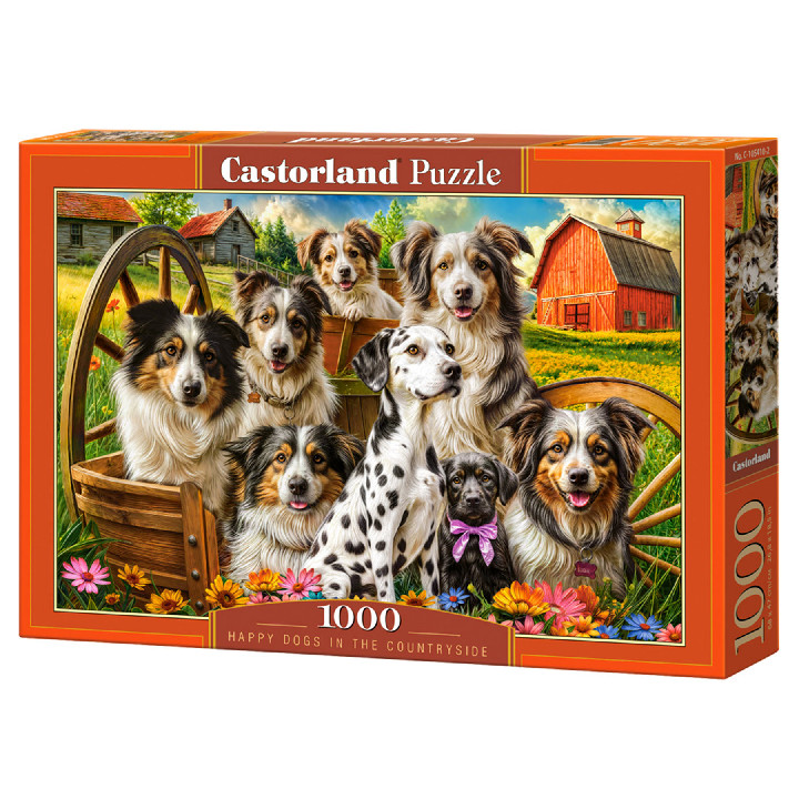 Granja de perros border collie ( Ref:  105410 )