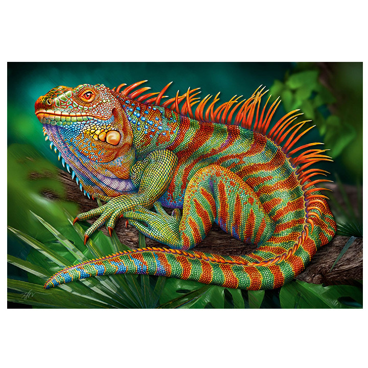 Iguana