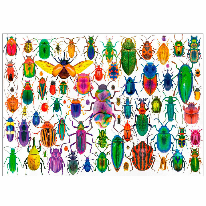 Insectos