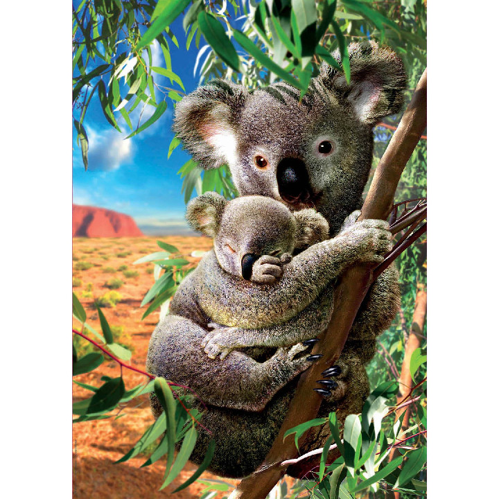 Koala y cachorro