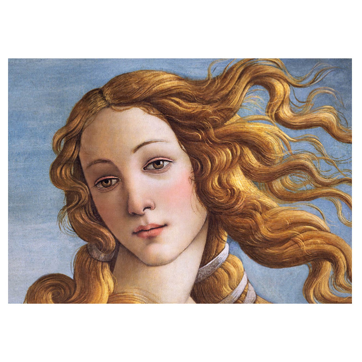 Rostro de Venus*