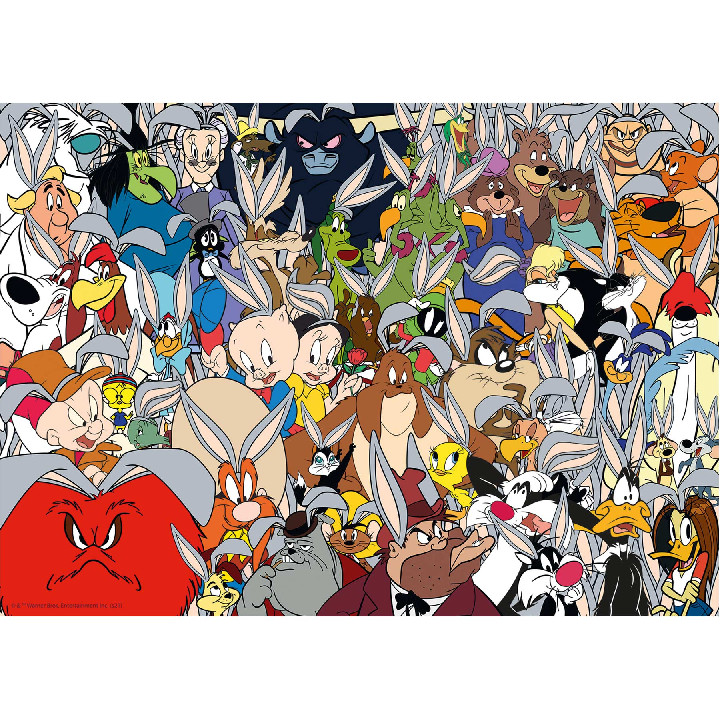 Looney Tunes Challenge