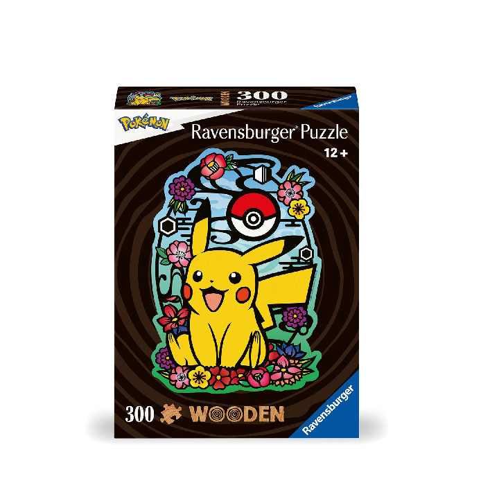 Pikachu ( Ref:  76160 )