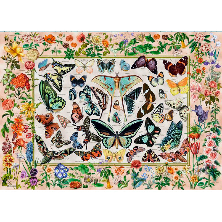 Mariposas