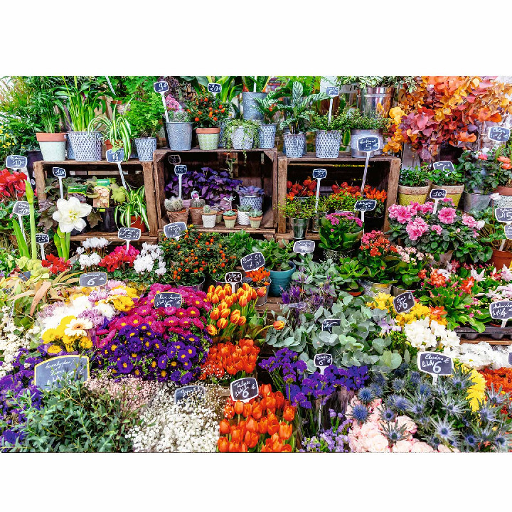 Mercado de flores Francia