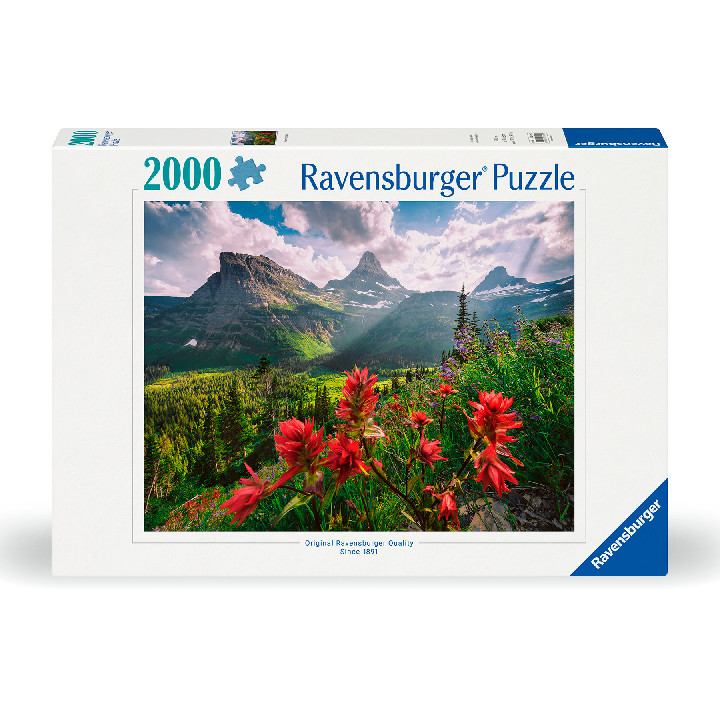 Montaña de ensueño ( Ref:  12001415 )