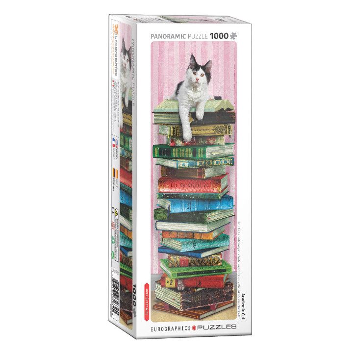 Montaña de libros ( Ref:  5632 )