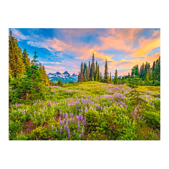 Flores en la montaña