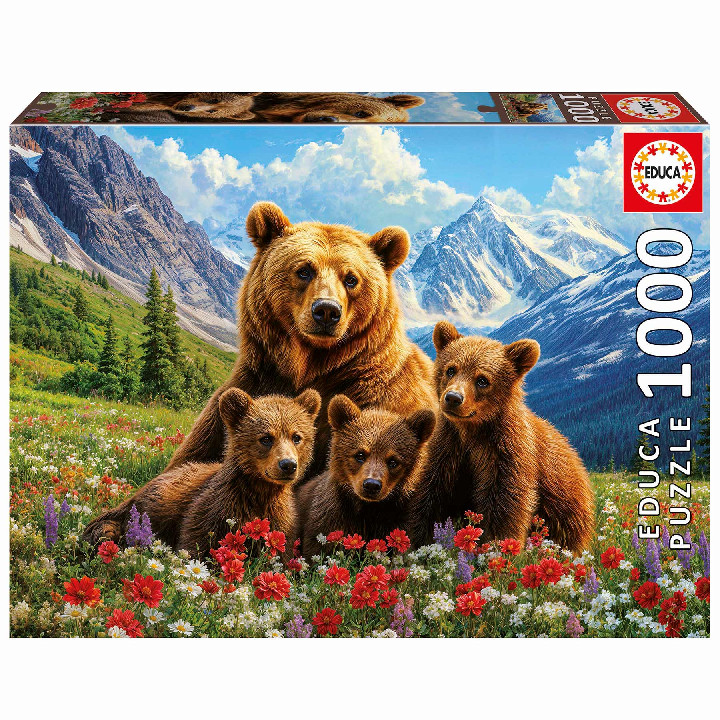 Oso grizzly en Canada ( Ref:  20553 )