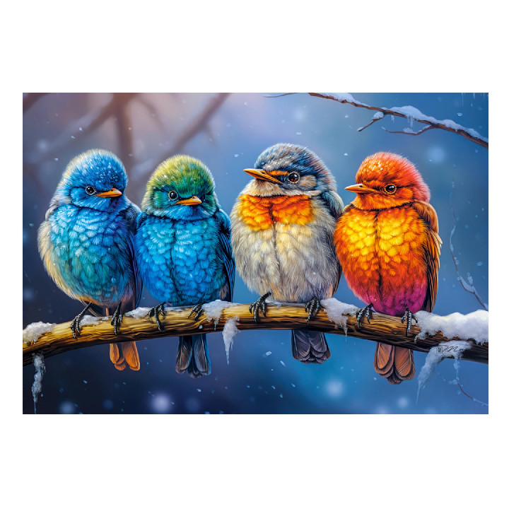 Pájaros de colores