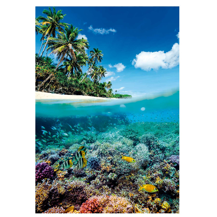 Verano paradisiaco