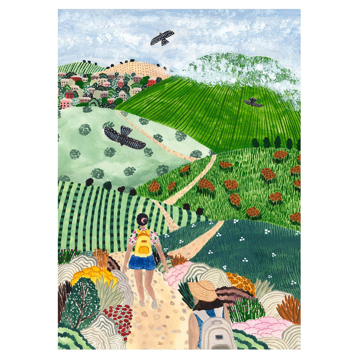 Paseo por los viñedos