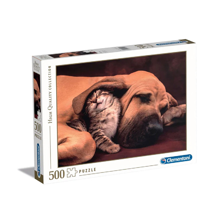 perro y gato dormidos ( Ref:  35583 )
