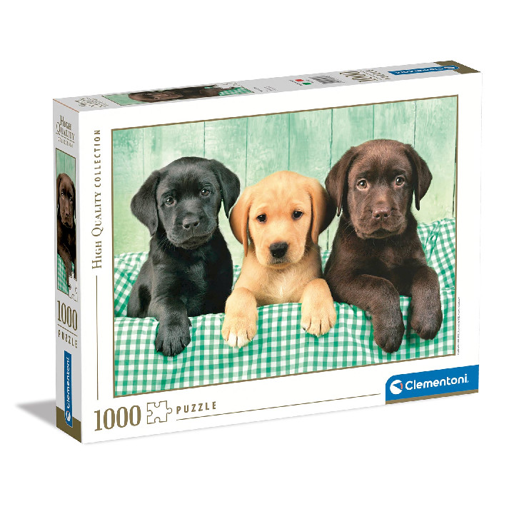 Perros Labradores de 3 colores ( Ref:  0000039279 )