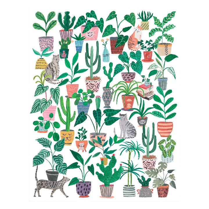 Plantas y gatos