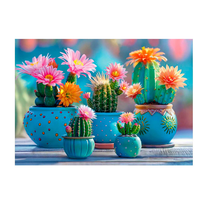 Potes de Cactus