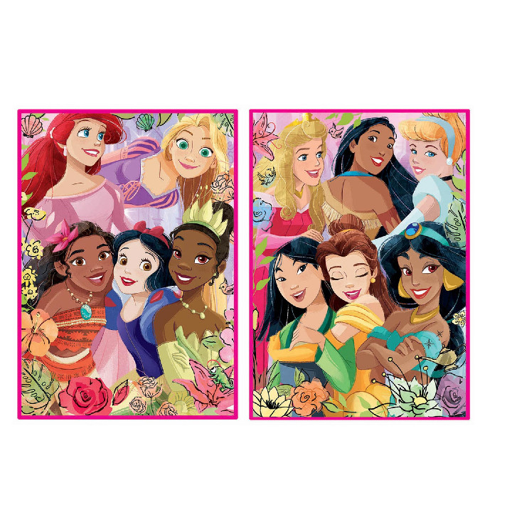 Princesas disney 2x500*