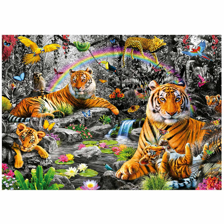 Selva radiante*