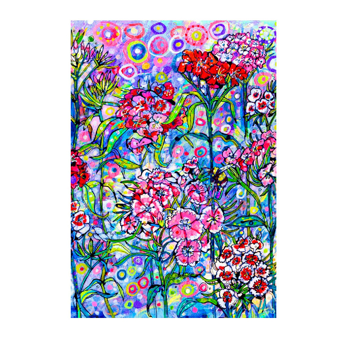 Sweet William