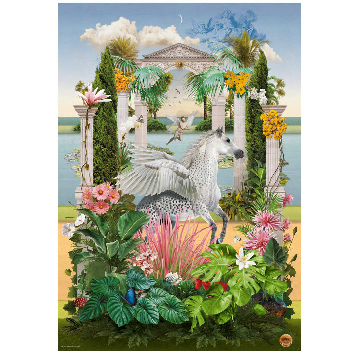 Take a trip André Sanchez