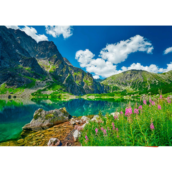 Czarny Staw pod Rysami, Tatras, Polania