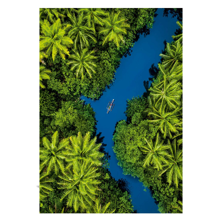 Vista aérea del trópico*