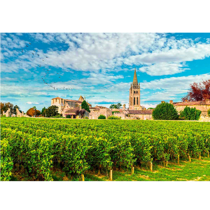 Viñas de Burdeos